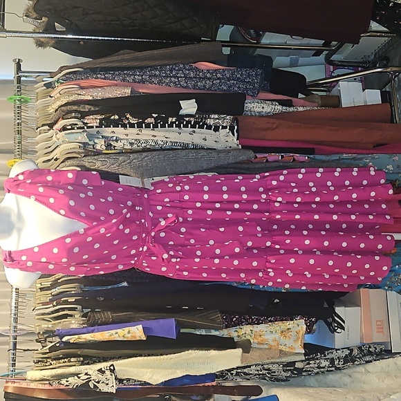 Maison Tara Pink Polka Dot Dress Size 12 NWT - Picture 11 of 11